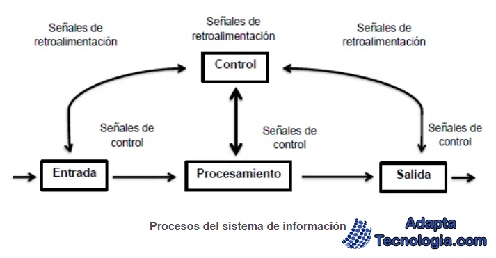 Sistemas de información: estructura y clasificación